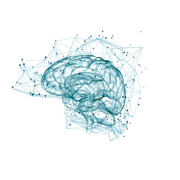 A yet unknown neural mechanism of habit formation identified