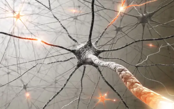 Gene therapy promotes nerve regeneration