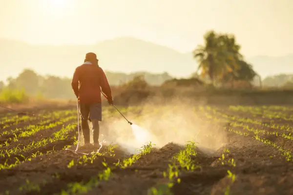 Test pesticides for possible role in Parkinson’s disease