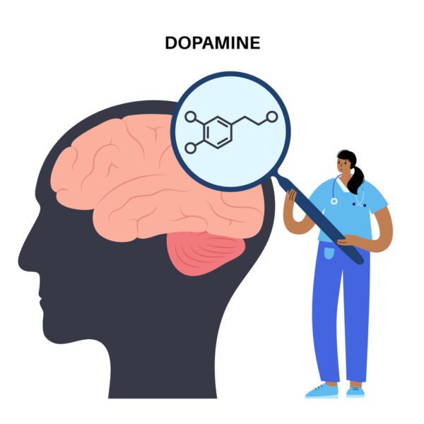 A map of dopamine signals across the brain