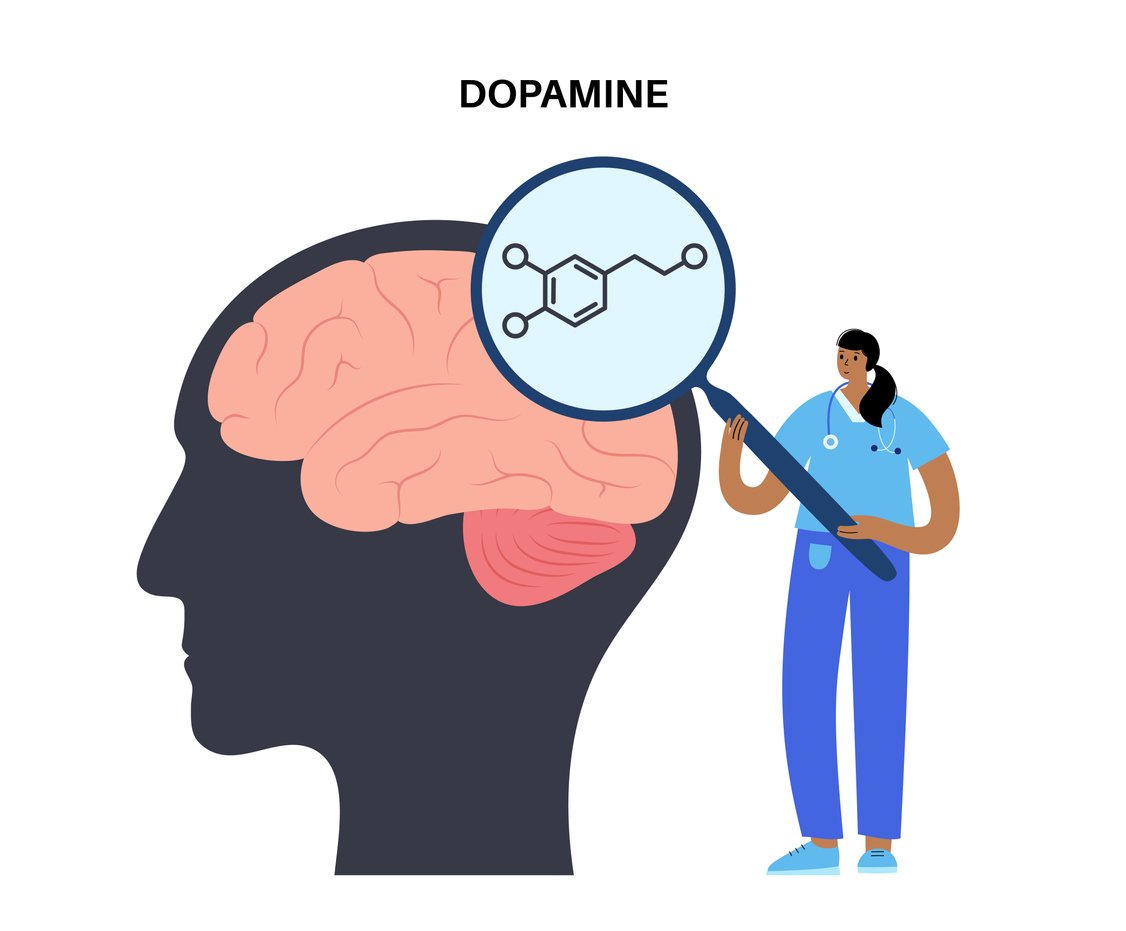 A map of dopamine signals across the brain