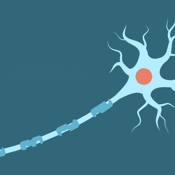 Myelination determines the nerve cell power of inhibition