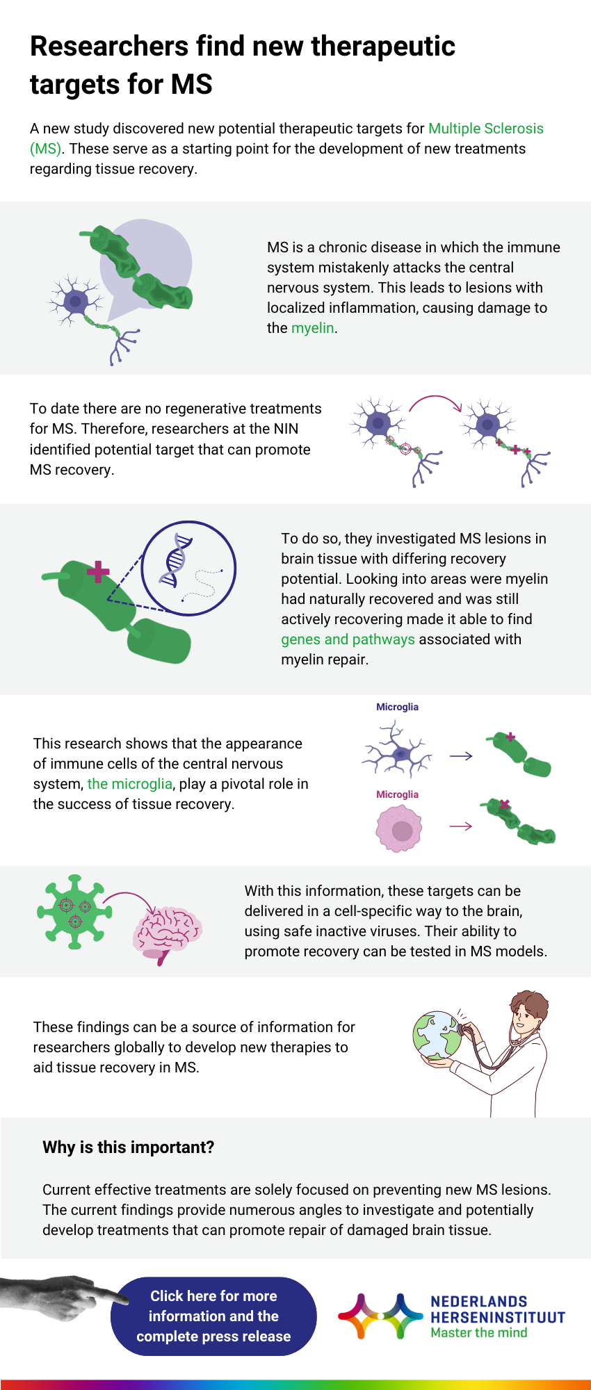 Infograhpic explaining the content of the press release visually